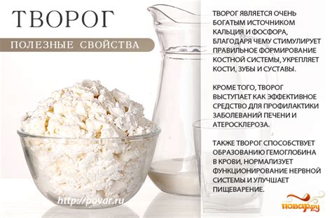 Раздел 2: Полезные свойства творога