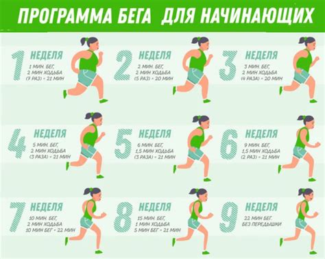 Раздел 3: Как правильно бегать для набора веса