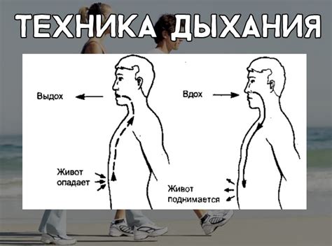 Раздел 4: Правильная техника дыхания