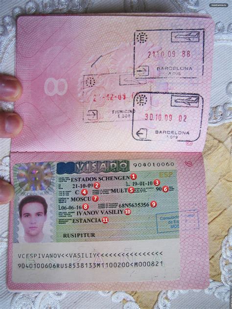 Различия между рабочей визой и другими типами виз