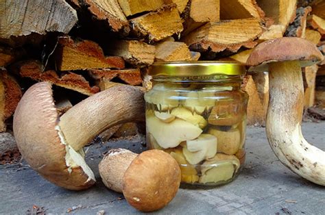Различные варианты маринования белых грибов