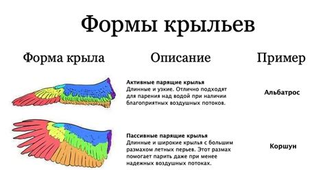 Различные виды крыльев в животном мире