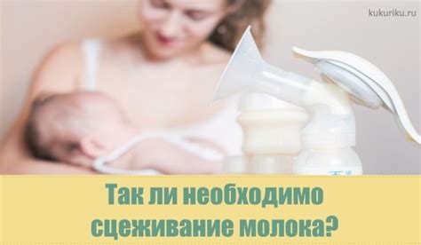 Различные мнения о сцеживании молока после бокала вина