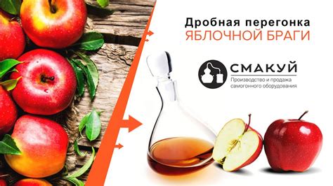 Различные мнения по поводу осветления яблочной браги