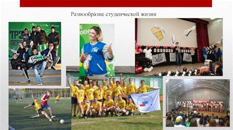 Разнообразие студенческой жизни
