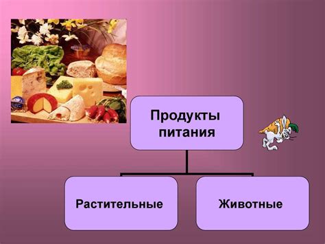 Разнообразие услуг и продуктов