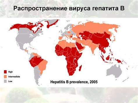 Распространение и эпидемиология вш:
