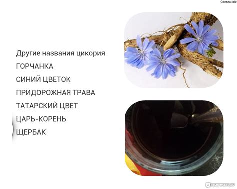 Растворимый цикорий как средство расслабления и снятия нервного напряжения