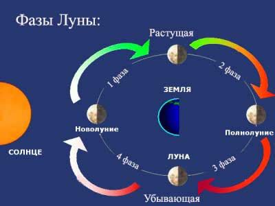 Растущая луна: фазы и влияние на организм