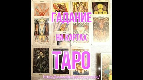 Расценки на услуги гадалки права