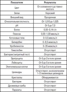 Расшифровка результатов и действия по их основе