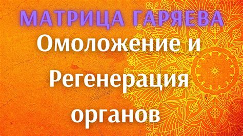 Регенерация органов и возможность бессмертия