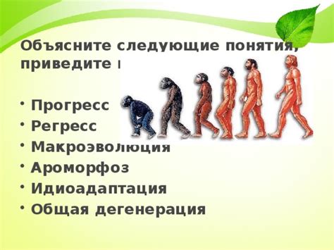 Регресс в биологической эволюции