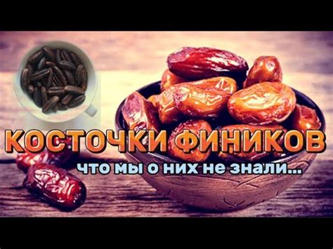 Рекомендации по использованию косточек от фиников для кур
