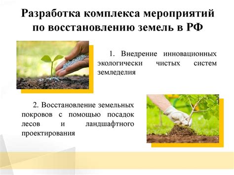 Рекомендации по использованию пшена