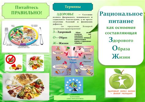 Рекомендации по питанию при регионарном сосудистом головном