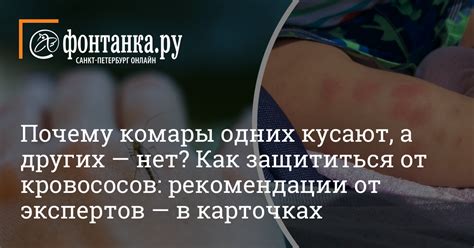 Рекомендации экспертов, помогающие подобрать правильное колесо от Минска на Восход