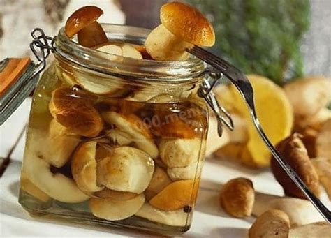 Рецепты маринадов для белых грибов