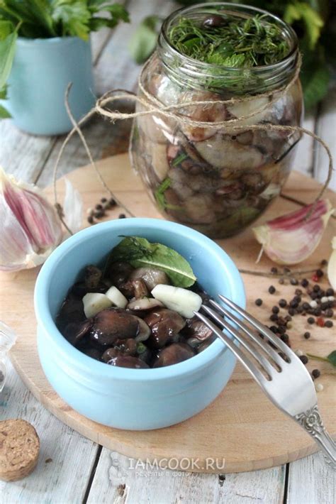 Рецепты маринования маслят с другими грибами