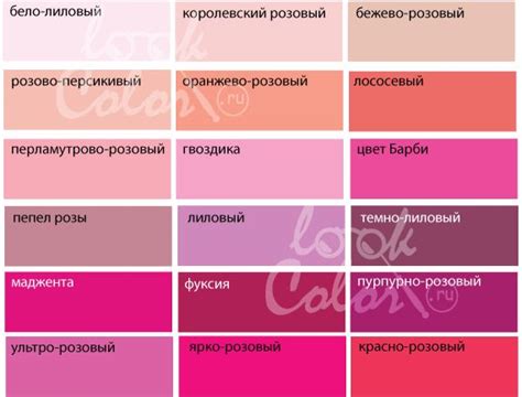 Розовый цвет: особенности выбора