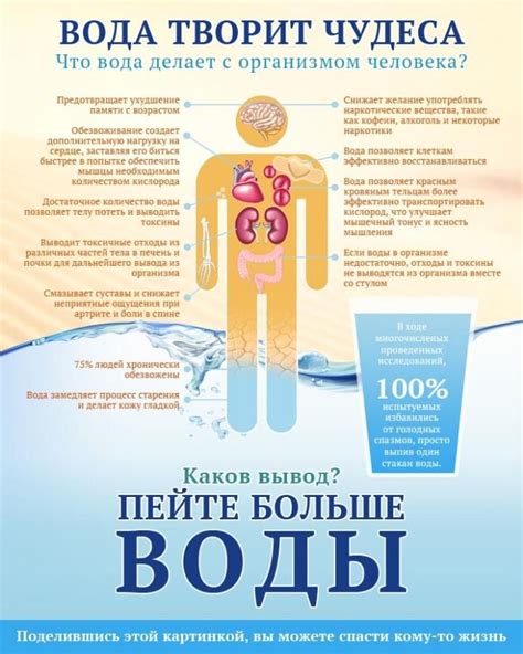 Роли вода в организме