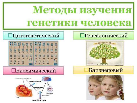 Роль генетики в формировании почерка