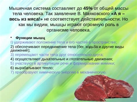 Роль мяса в организме