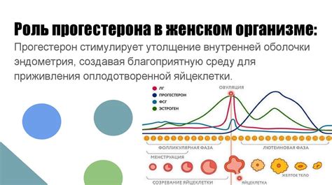 Роль прогестерона в овуляции