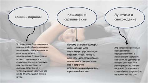 Роль сновидений в укреплении памяти