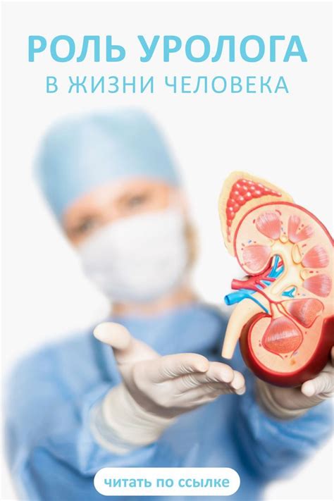Роль уролога в школе: проверенные факты и распространенные заблуждения
