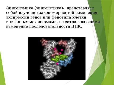 Роль эпигенетики: изменения экспрессии генов под влиянием эмоционального опыта