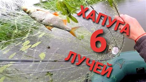 Рыболовство на хапугу: разрешенные методы и снасти
