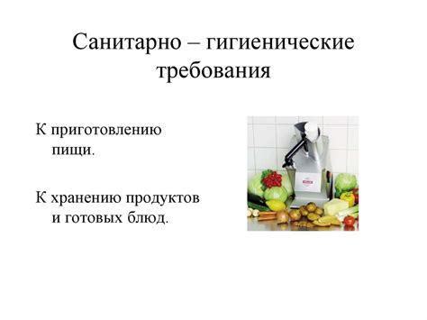 Санитарные нормы при приготовлении уличных продуктов