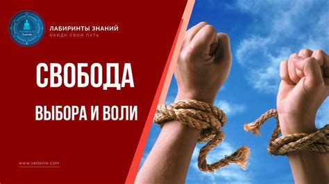 Свобода сознания и выбора