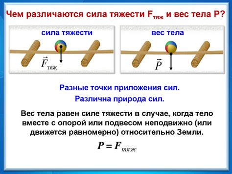 Связь между размером кулака и силой удара