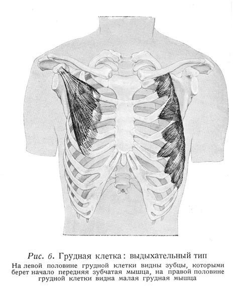 Связь между хондрозом и болезнями грудной клетки