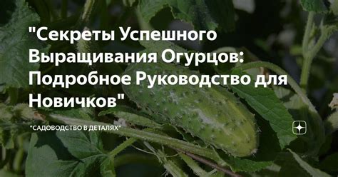 Секреты успешного ботокса