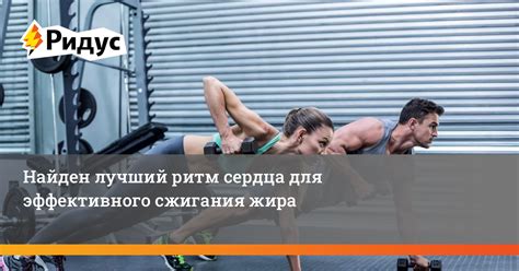 Секреты эффективного сжигания жира на велосипеде
