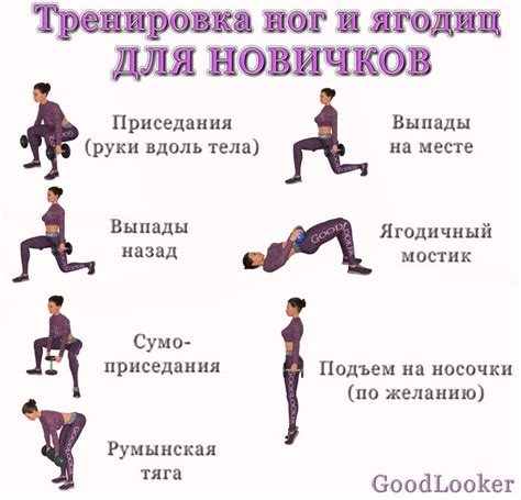 Секреты эффективного тренировочного плана для набора мышц ягодиц