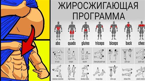 Силовые тренировки для укрепления мышц и потери жира