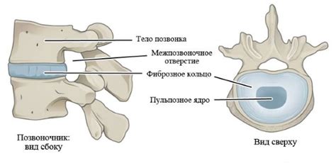 Симптомы грудной клетки при хондрозе