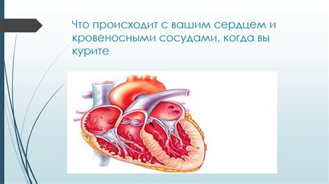 Системные изменения с сердцем и кровоносными сосудами