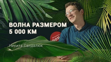 Скрытая жизнь глубин мирового океана