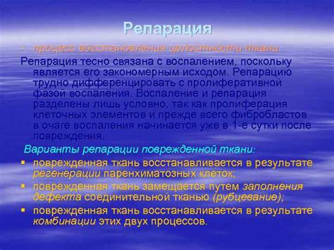 Следствие и репарация: как разобраться с послеаварийными вопросами