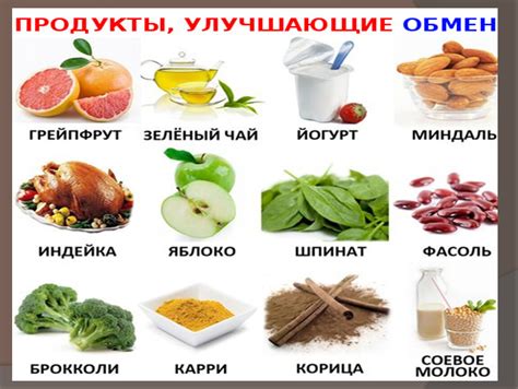 Смешанное питание: залог здоровья щенка