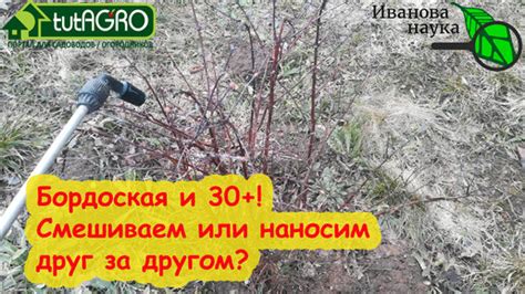 Смешивание бордосской жидкости