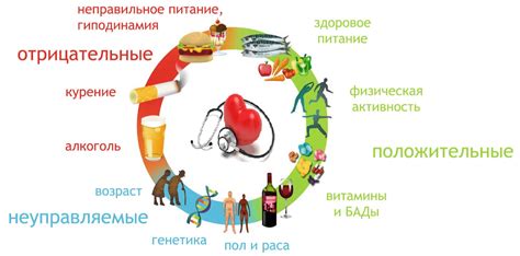 Снижение риска сердечно-сосудистых заболеваний у кур с использованием косточек от фиников