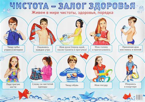 Соблюдение личной гигиены и здоровья
