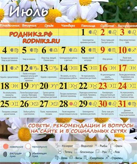 Советы для выбора питомца на основе лунного календаря