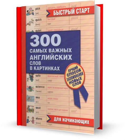 Советы для успешного изучения 100 слов в день